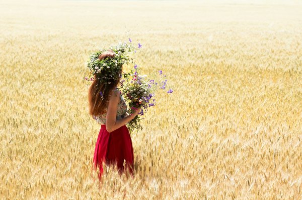 What are the best times and places to see wildflowers in Wales for free?