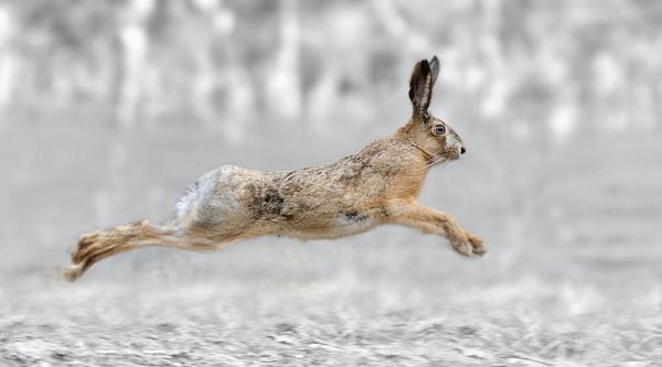 What are the best spots for photography in the Scottish Highlands during autumn?