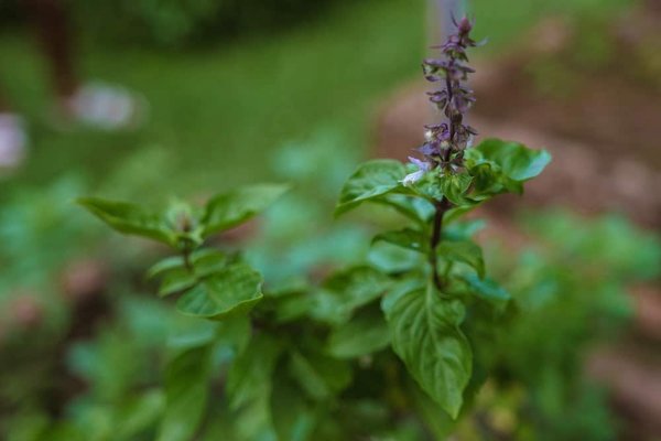 How can eco-friendly practices enhance your camping experience in the UK?