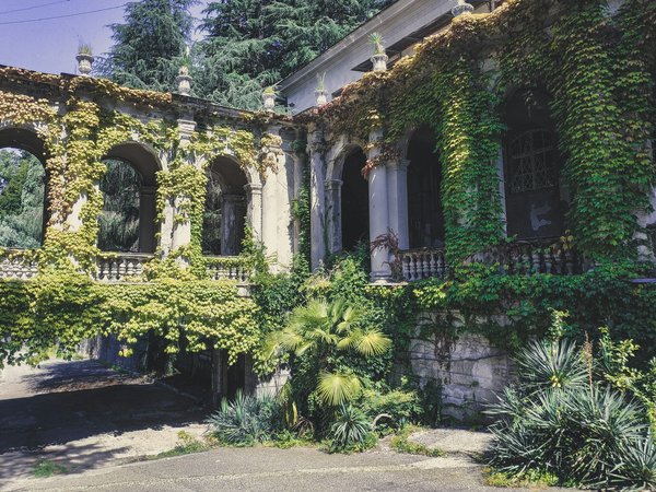 How to book a guided tour of the Royal Botanic Gardens, Kew?